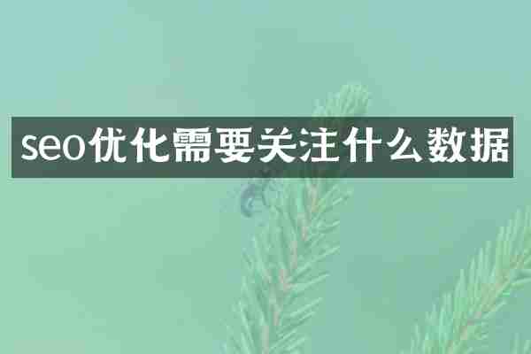 seo优化需要关注什么数据