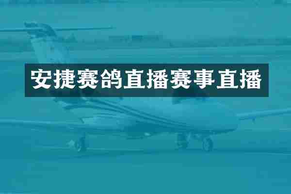 安捷赛鸽直播赛事直播