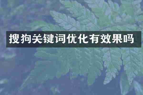 搜狗关键词优化有效果吗