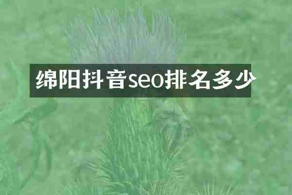 绵阳抖音seo排名多少