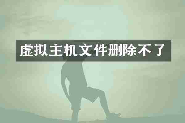 虚拟主机文件删除不了