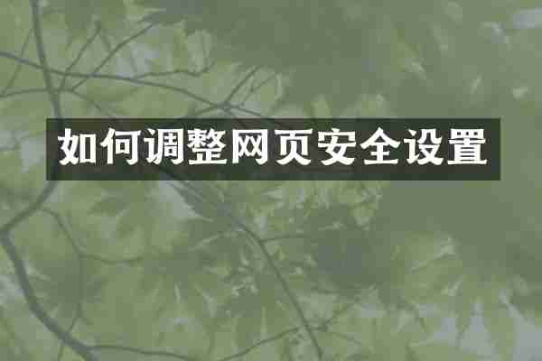 如何调整网页安全设置
