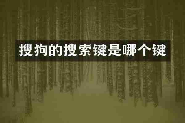 搜狗的搜索键是哪个键