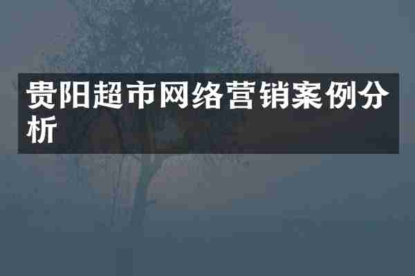 贵阳超市网络营销案例分析