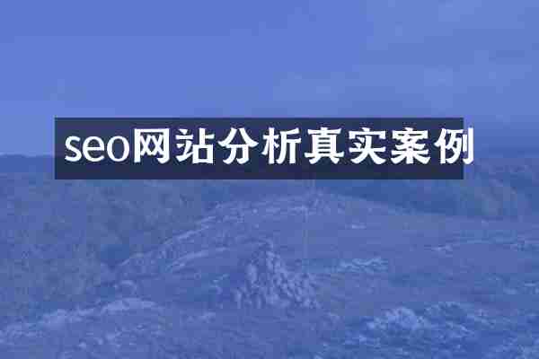 seo网站分析真实案例