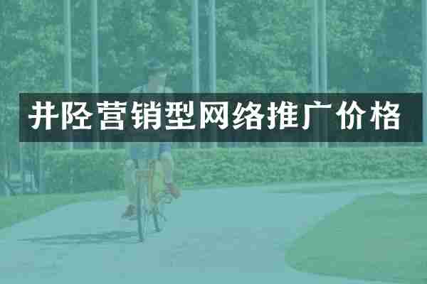 井陉营销型网络推广价格