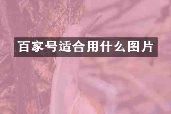 百家号适合用什么图片