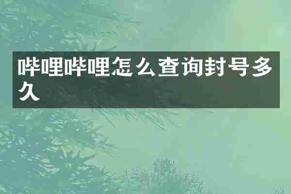 哔哩哔哩怎么查询封号多久