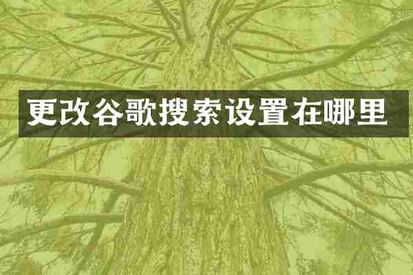更改谷歌搜索设置在哪里