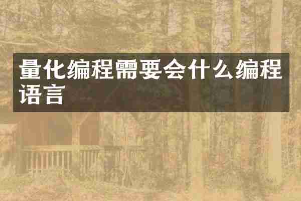 量化编程需要会什么编程语言
