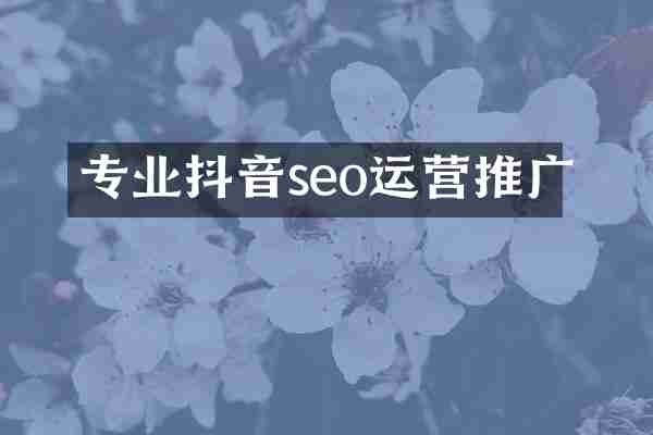 专业抖音seo运营推广