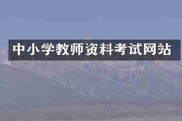 中小学教师资料考试网站