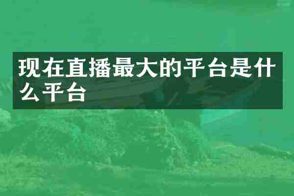 现在直播最大的平台是什么平台