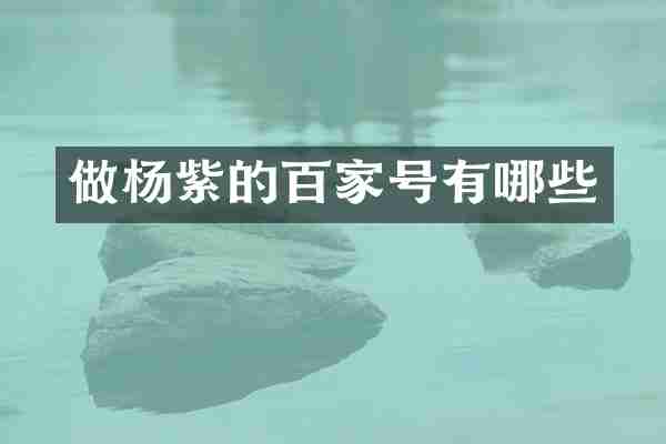 做杨紫的百家号有哪些