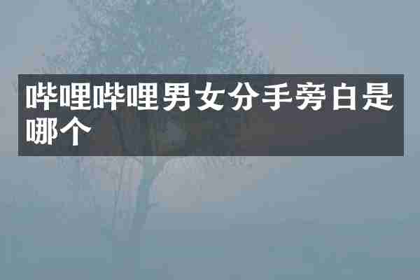 哔哩哔哩男女分手旁白是哪个