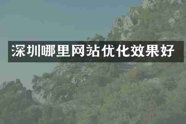深圳哪里网站优化效果好