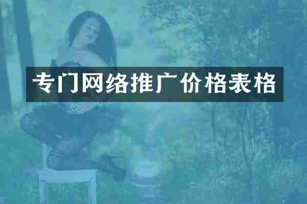 专门网络推广价格表格