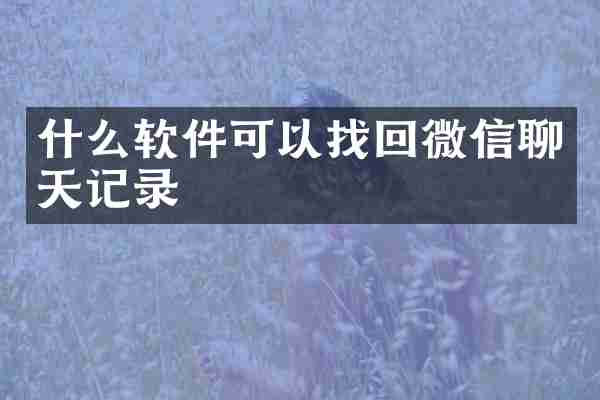 什么软件可以找回微信聊天记录