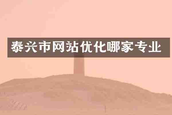 泰兴市网站优化哪家专业
