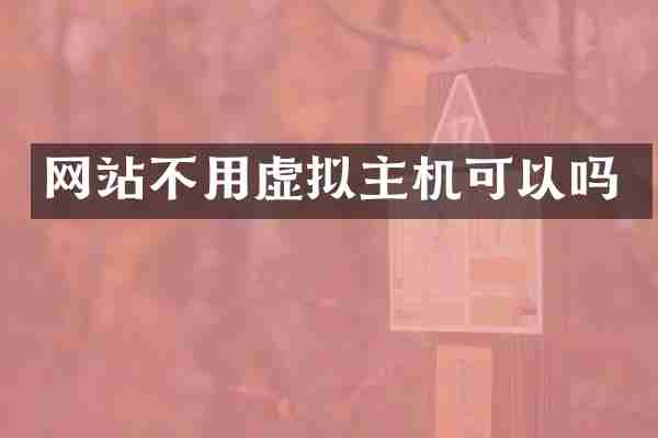 网站不用虚拟主机可以吗