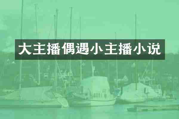 大主播偶遇小主播小说