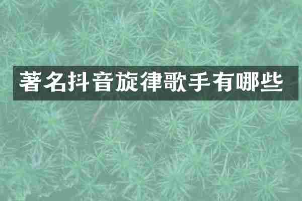 著名抖音旋律歌手有哪些