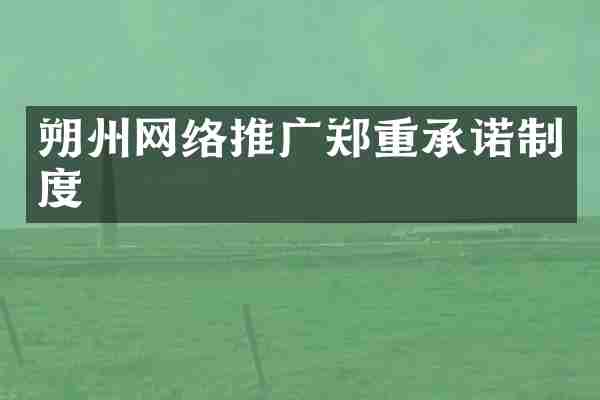 朔州网络推广郑重承诺制度