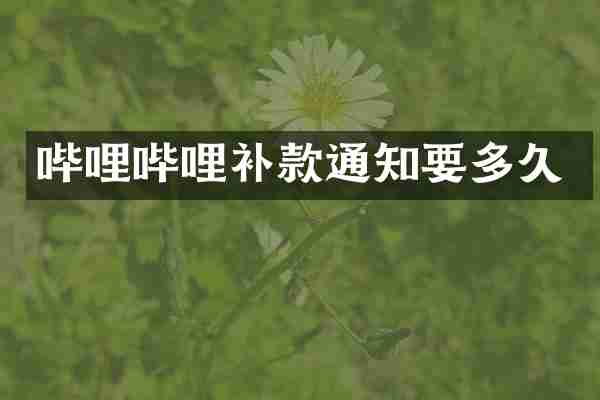 哔哩哔哩补款通知要多久