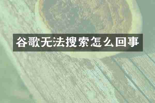 谷歌无法搜索怎么回事