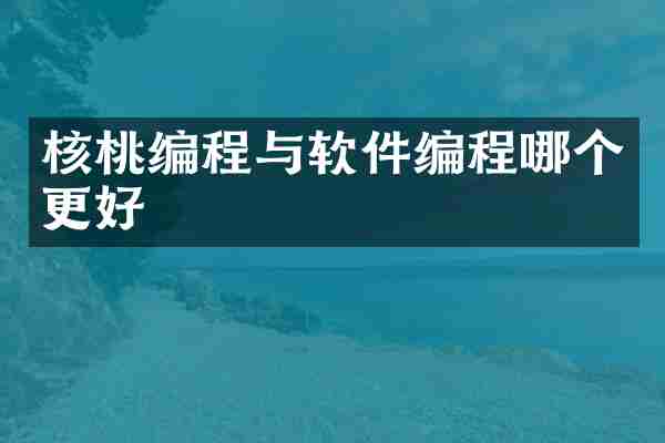 核桃编程与软件编程哪个更好