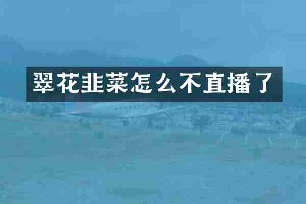 翠花韭菜怎么不直播了