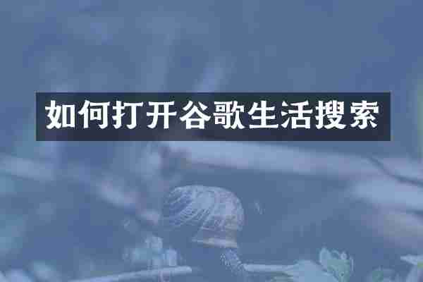 如何打开谷歌生活搜索