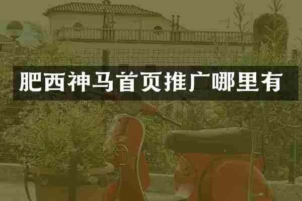 肥西神马首页推广哪里有