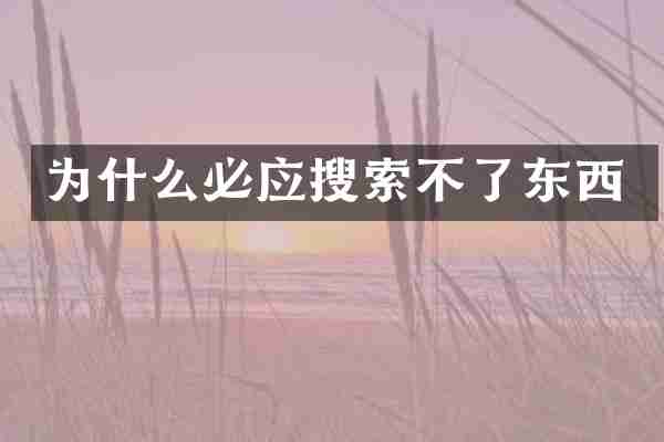 为什么必应搜索不了东西