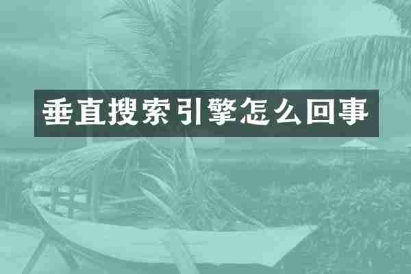 垂直搜索引擎怎么回事