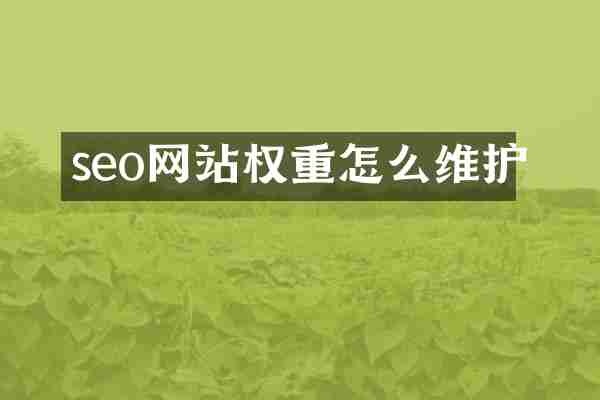 seo网站权重怎么维护