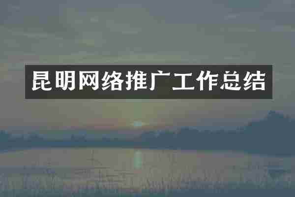 昆明网络推广工作总结