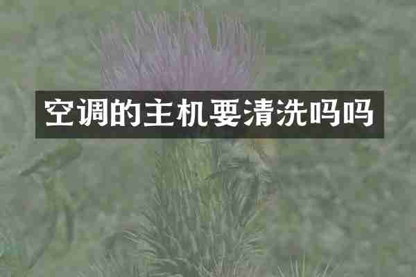 空调的主机要清洗吗吗