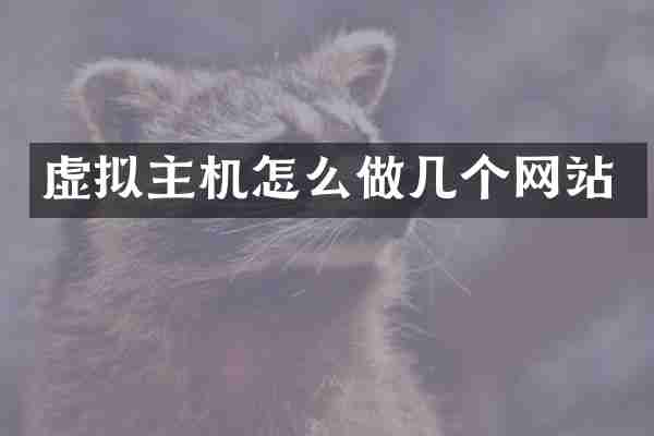 虚拟主机怎么做几个网站