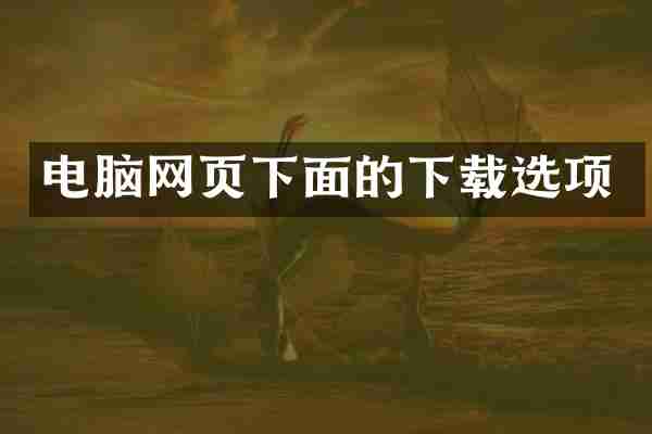 电脑网页下面的下载选项