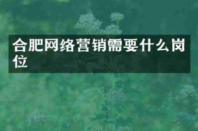 合肥网络营销需要什么岗位