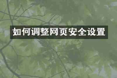 如何调整网页安全设置