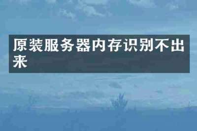 原装服务器内存识别不出来