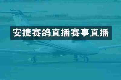 安捷赛鸽直播赛事直播