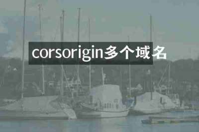 corsorigin多个域名