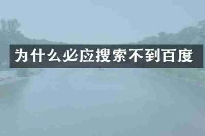 为什么必应搜索不到百度