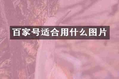 百家号适合用什么图片