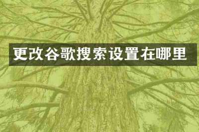 更改谷歌搜索设置在哪里