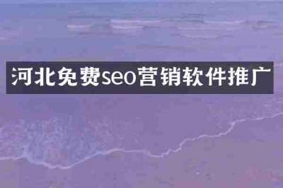 河北免费seo营销软件推广