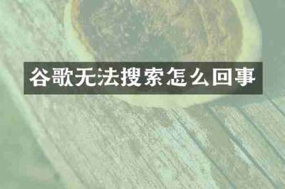 谷歌无法搜索怎么回事